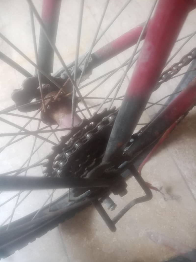 phonics bicycle 4