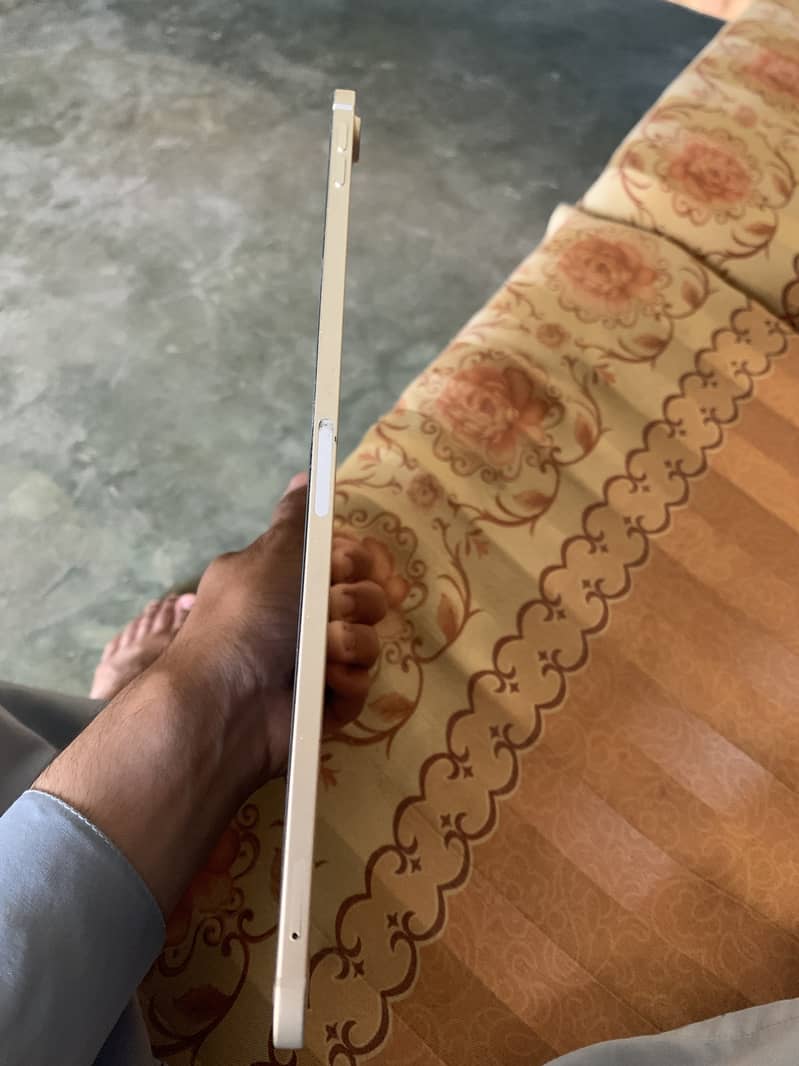 iPad Pro 4