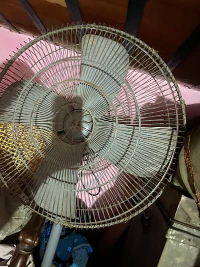 lahore fan