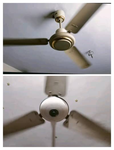 both ceiling fan Rs 6500