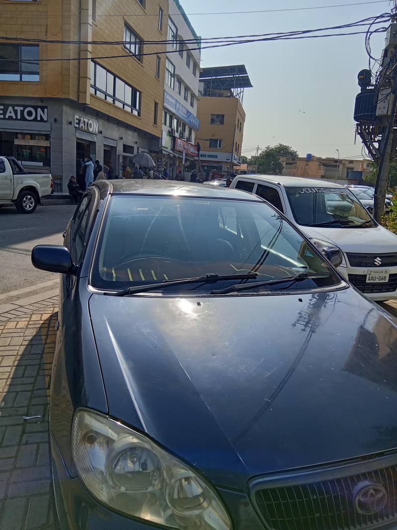 se saloon 15