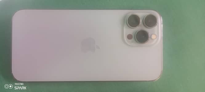 13 pro max
