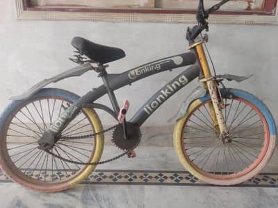 LION KING CYCLE FOR 9-12 YEARS OLD KID