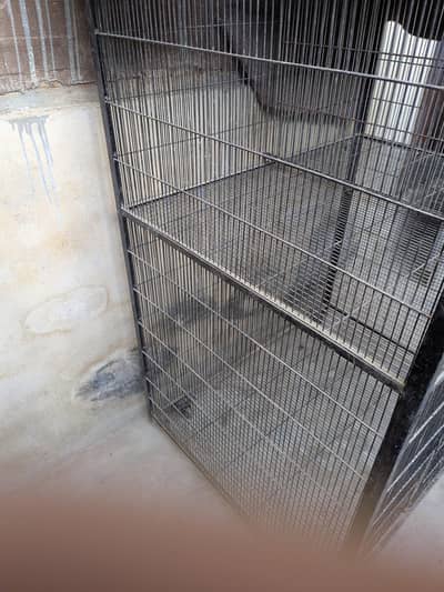 Cage for Sell Urgent