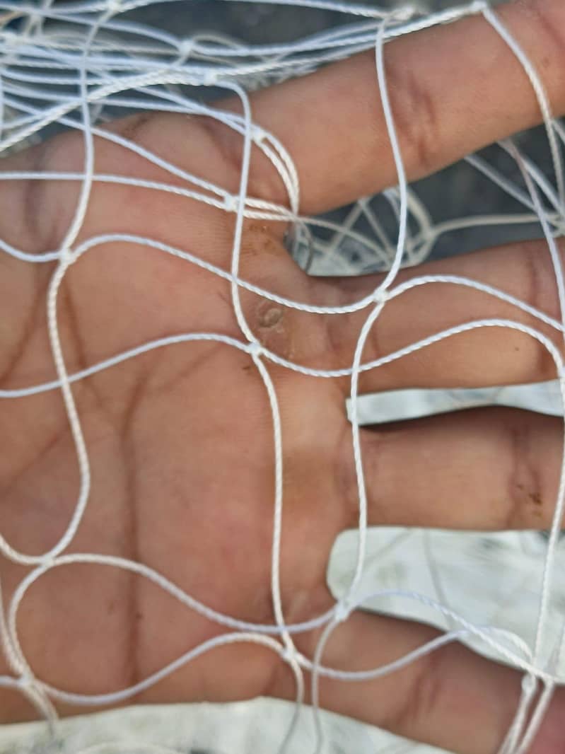 safety net/ practice net 2