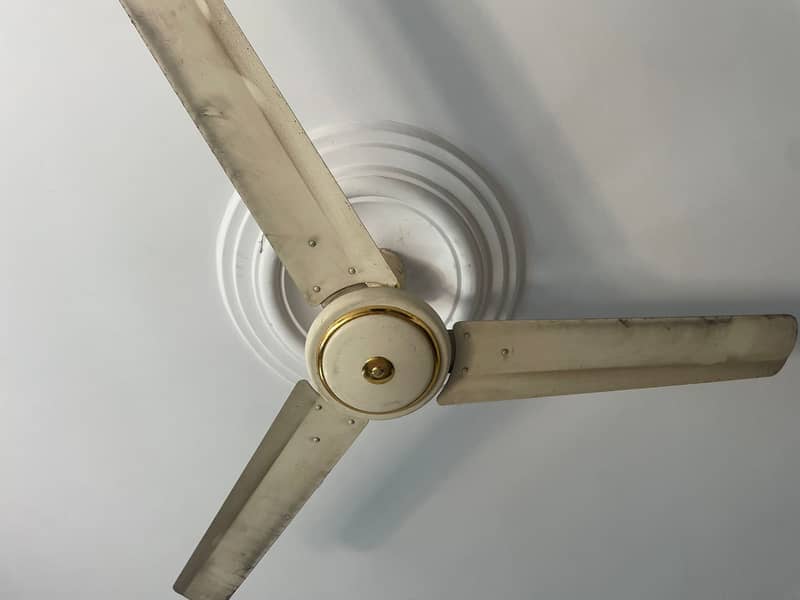 Ceiling Fans 1