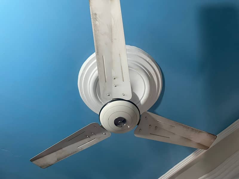 Ceiling Fans 2