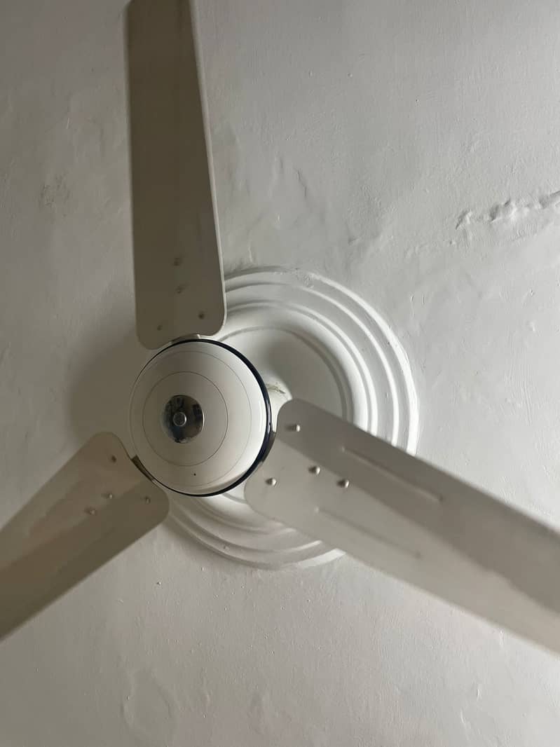 Ceiling Fans 3