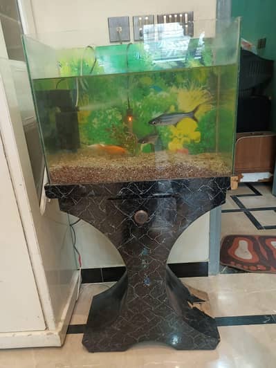 Aquarium with fishes