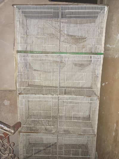 8 Portion Cage Contact # 03331699969