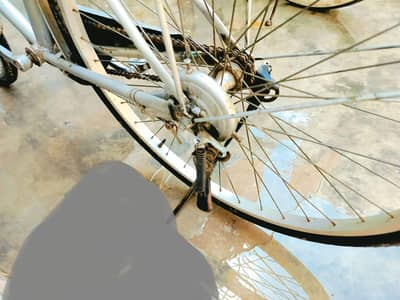 ladies cycle
