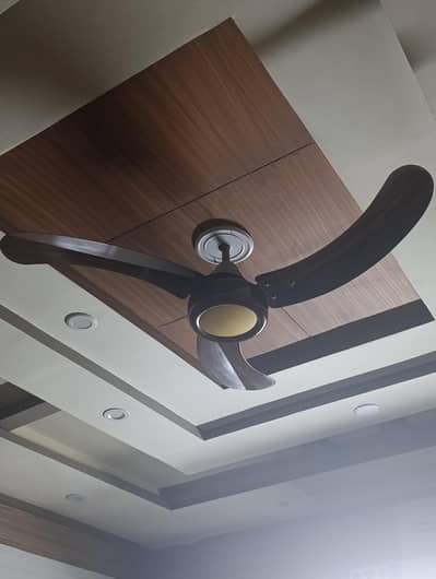 sk fan