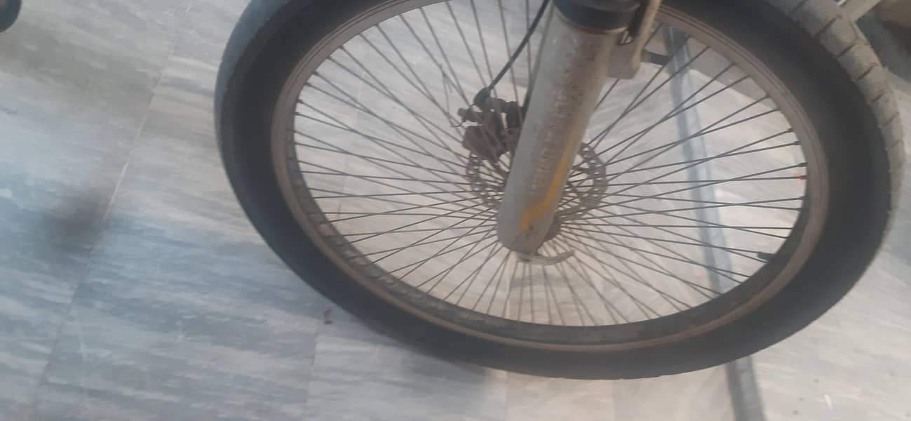 cycle 1