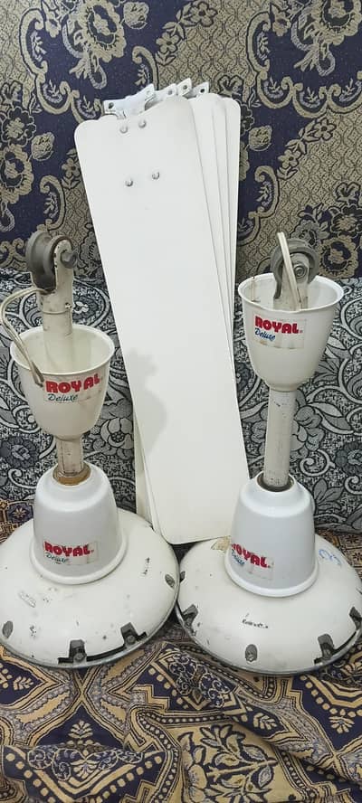 Royal fans for sale