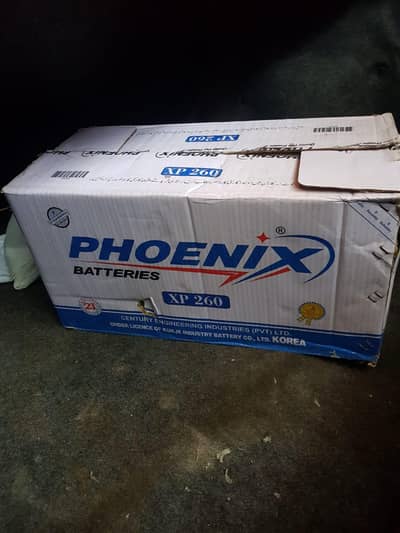 Phoenix XP 260 Battery – Brand New