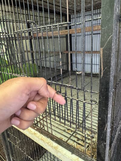 4 portion cages available 1.5ftx1.5ft front 2ft depth