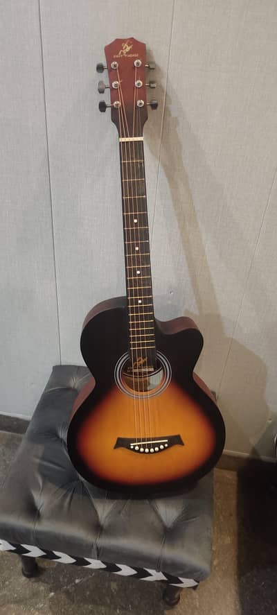 Beginner Guitar in Excellent Condition