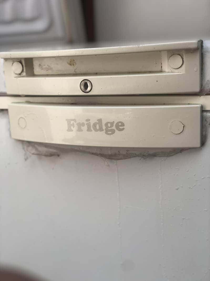 Deep freezer Waves 1