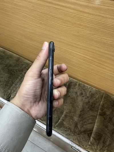 Xr Dual Pta 84%