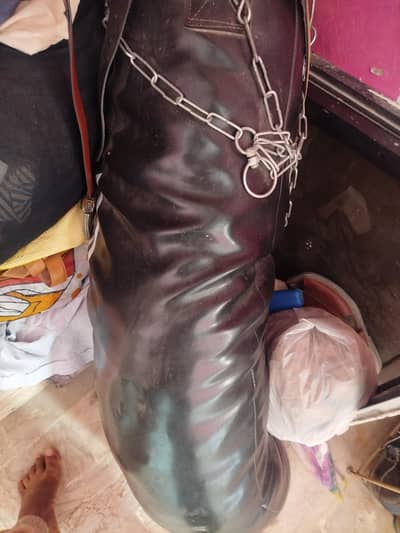 gym boxing bag