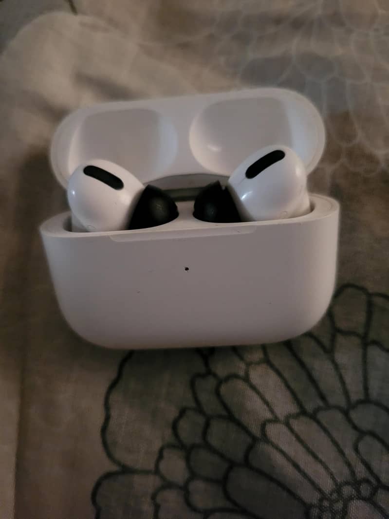 earpods pro 1