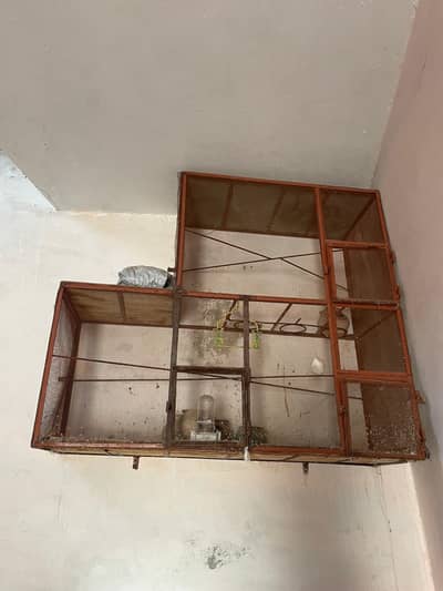 birds cage