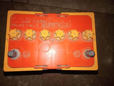 Phoenix solar 50