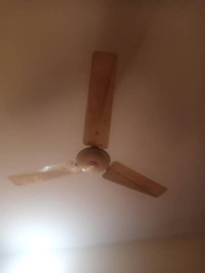 56 inch of white coulour