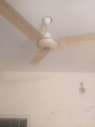 56 inch of white coulour