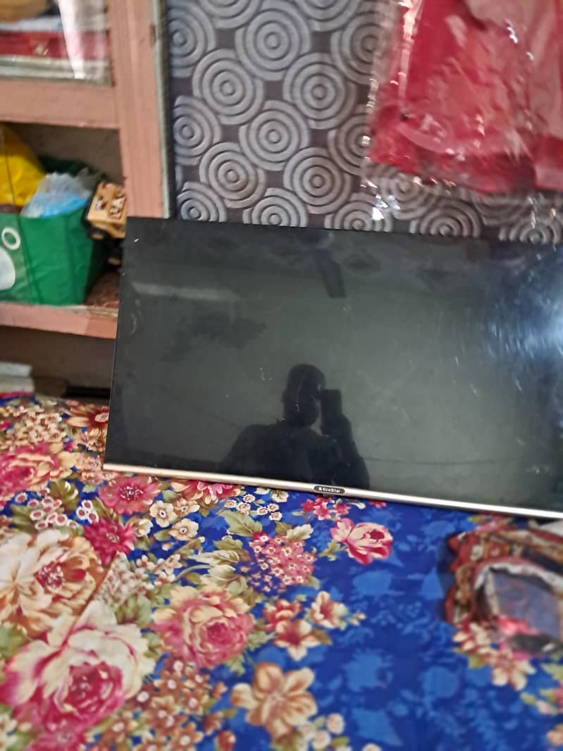 40" Ecostar 1
