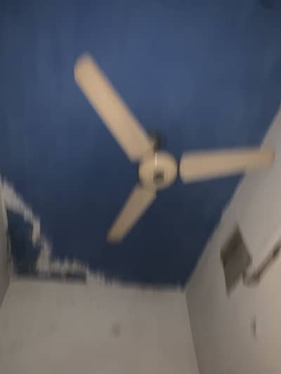 Ceiling fans