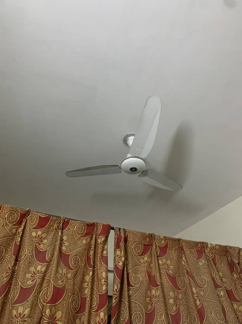 Ceiling fans 1
