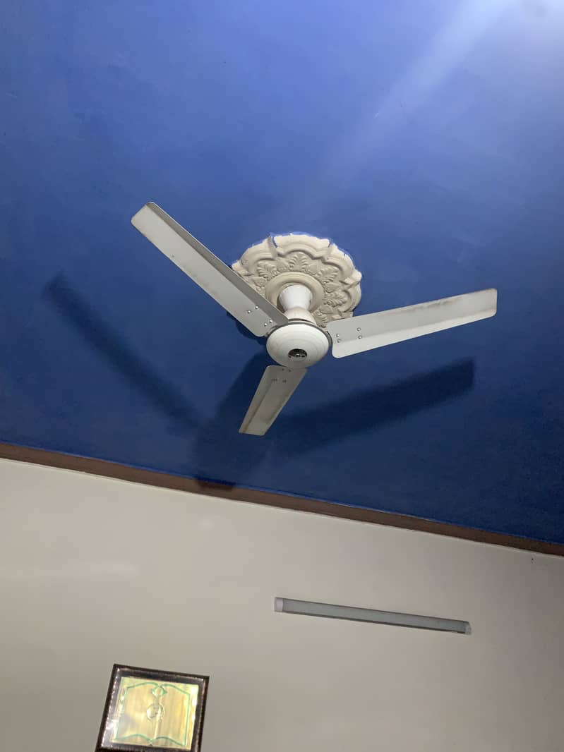 Ceiling fans 2