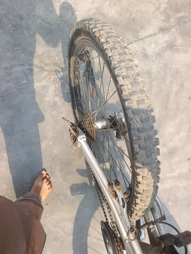 genuine cycle 6