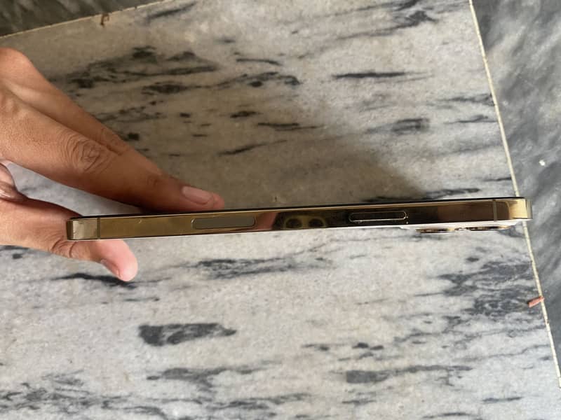 Iphone 12 Pro max 3