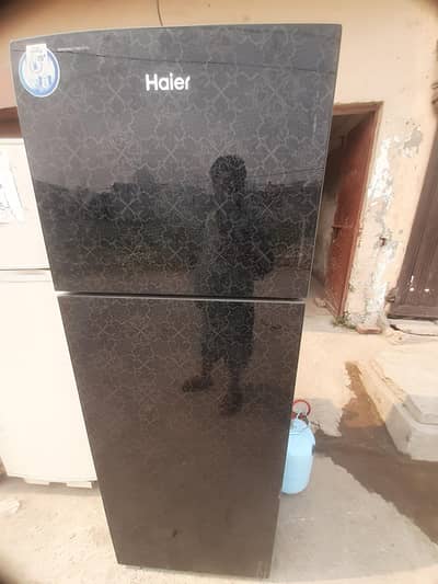 Haier Refrigeratore