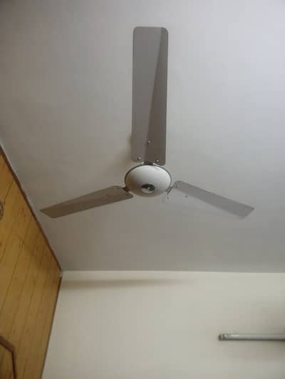 Royal fans for sale