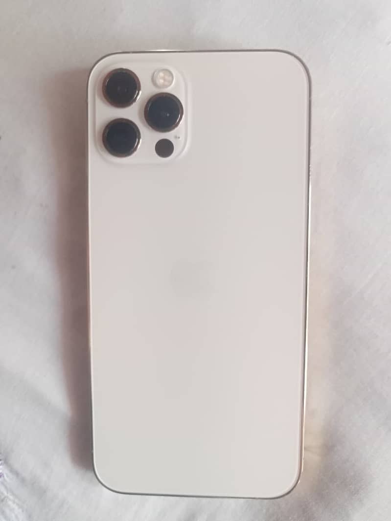 iPhone 12 Pro 0