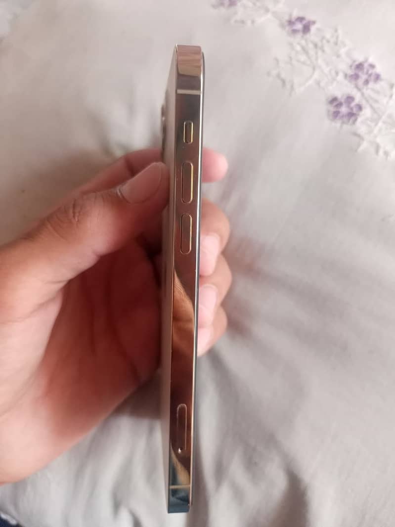 iPhone 12 Pro 1