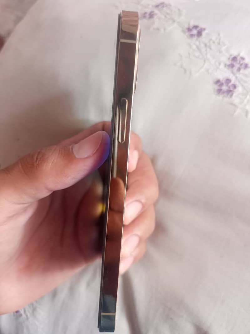 iPhone 12 Pro 4