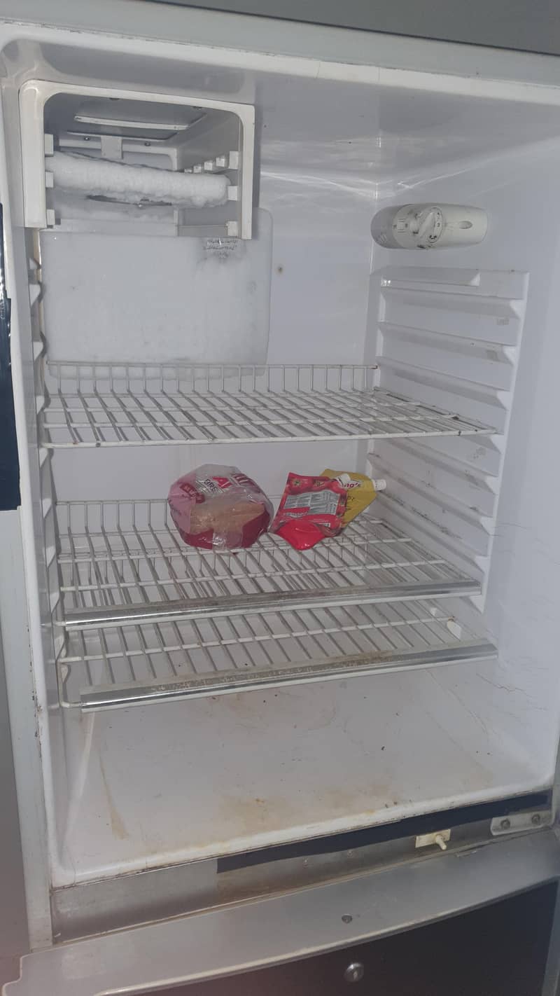Waves Fridge 1