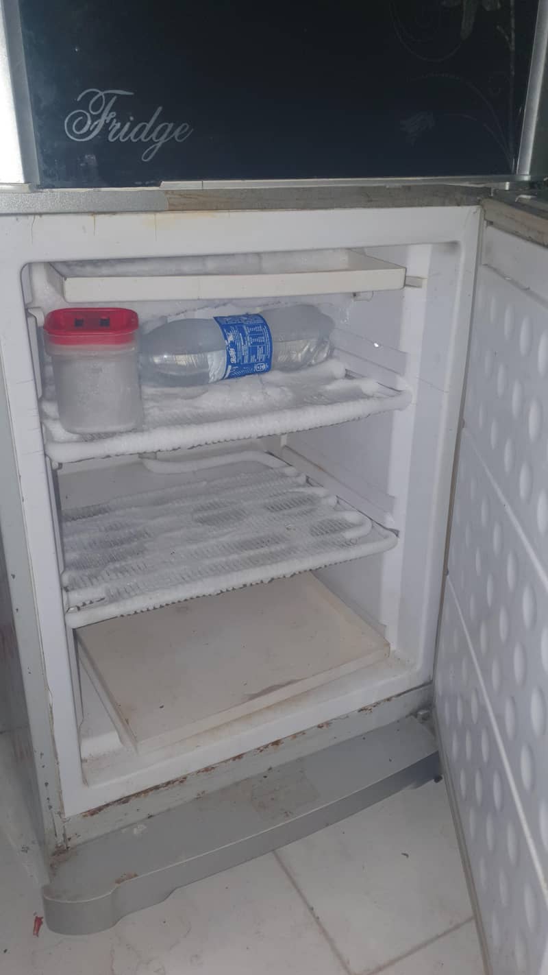 Waves Fridge 2