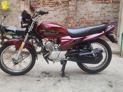 YAMAHA || YBZ 125 || Edition || Model 2021