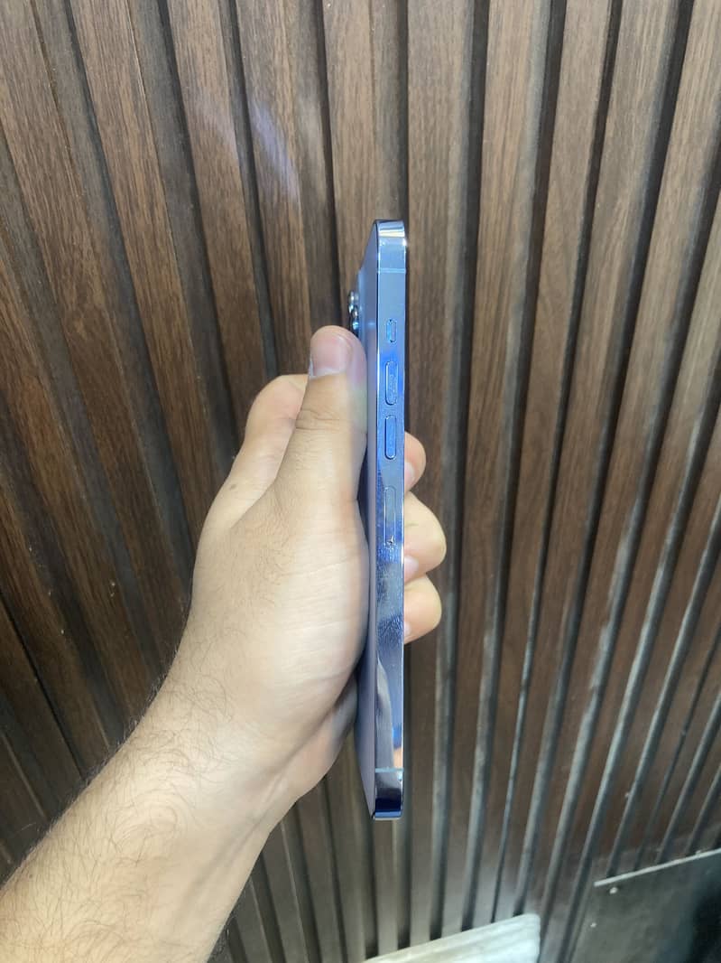 iPhone 13 Pro Max 1