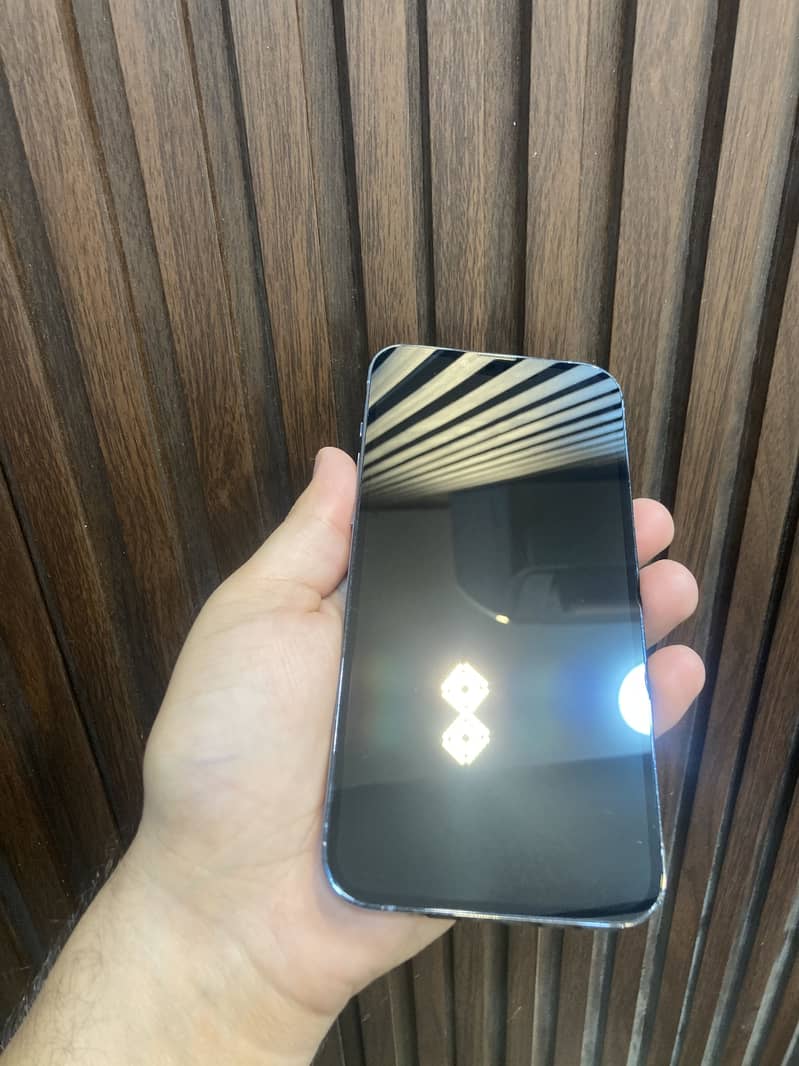 iPhone 13 Pro Max 2