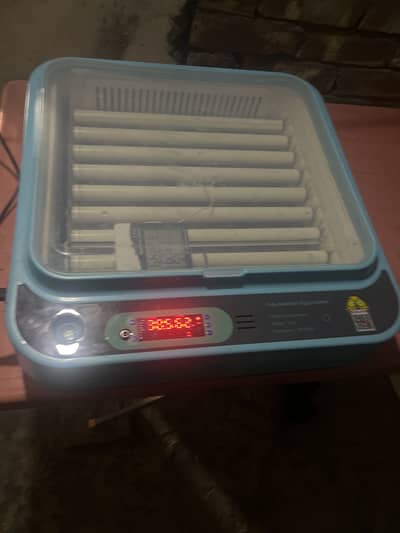 Chinese incubator 64 egg fully automatic