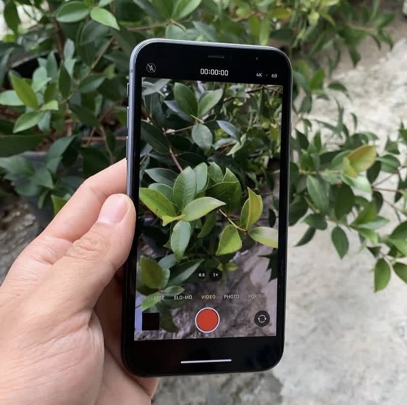 iphone 11 4