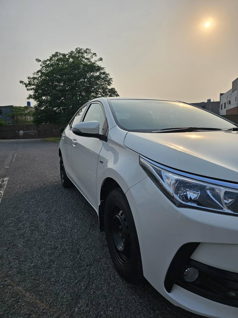 Corolla XLI 1