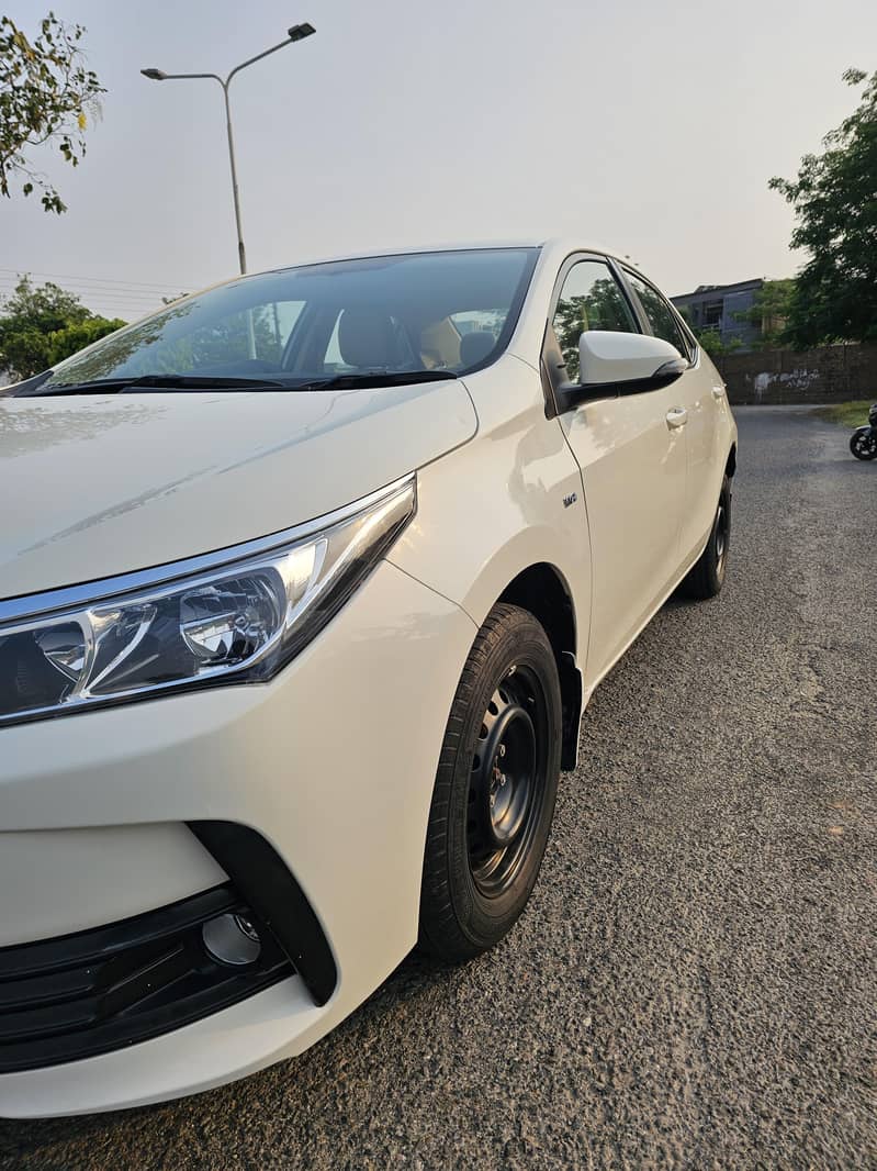 Corolla XLI 2