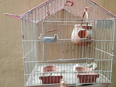 birds cage for sale